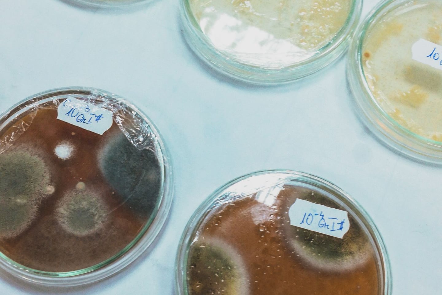 Laboratory research and scientific methods