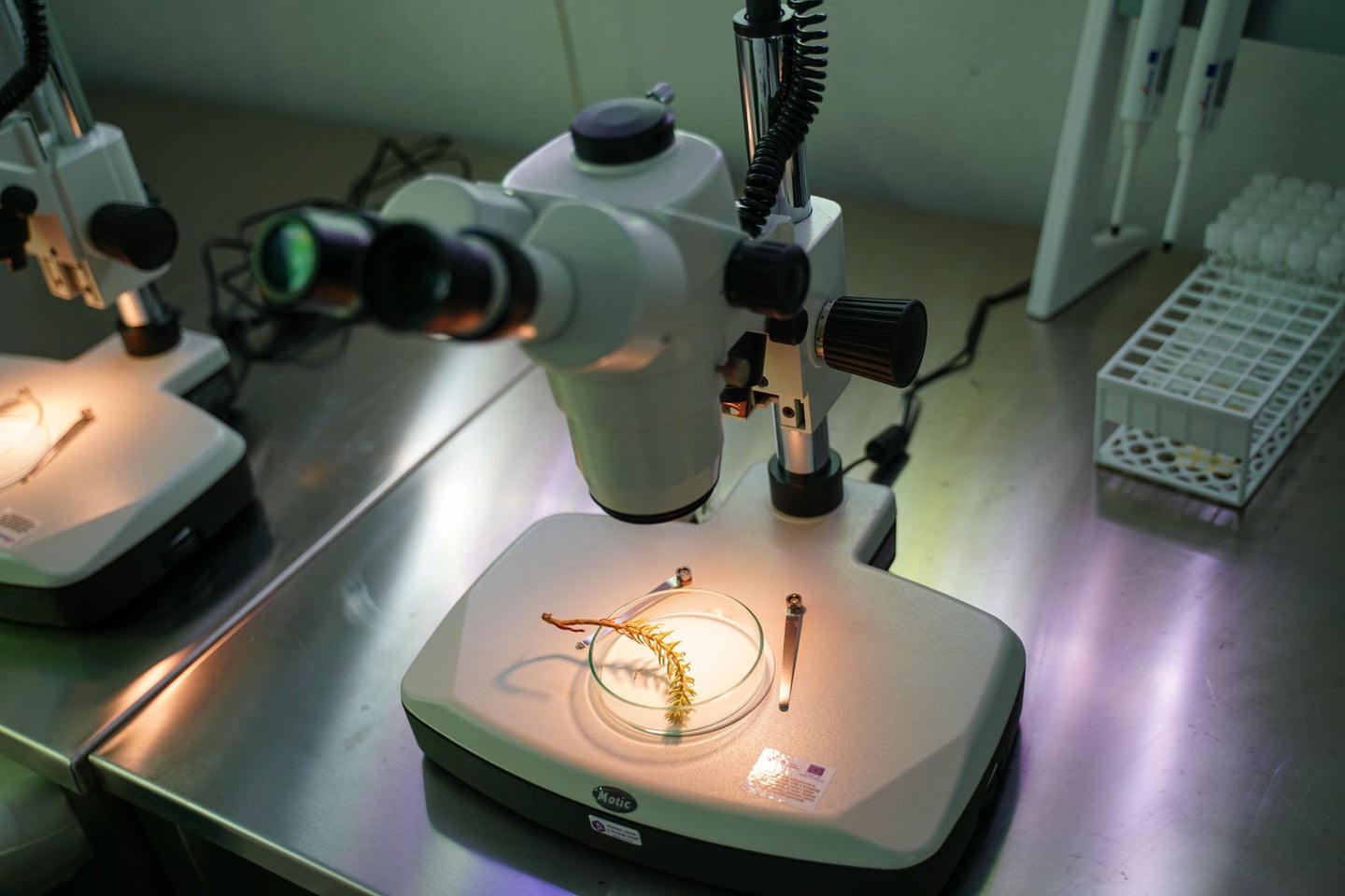 Laboratory research and scientific methods