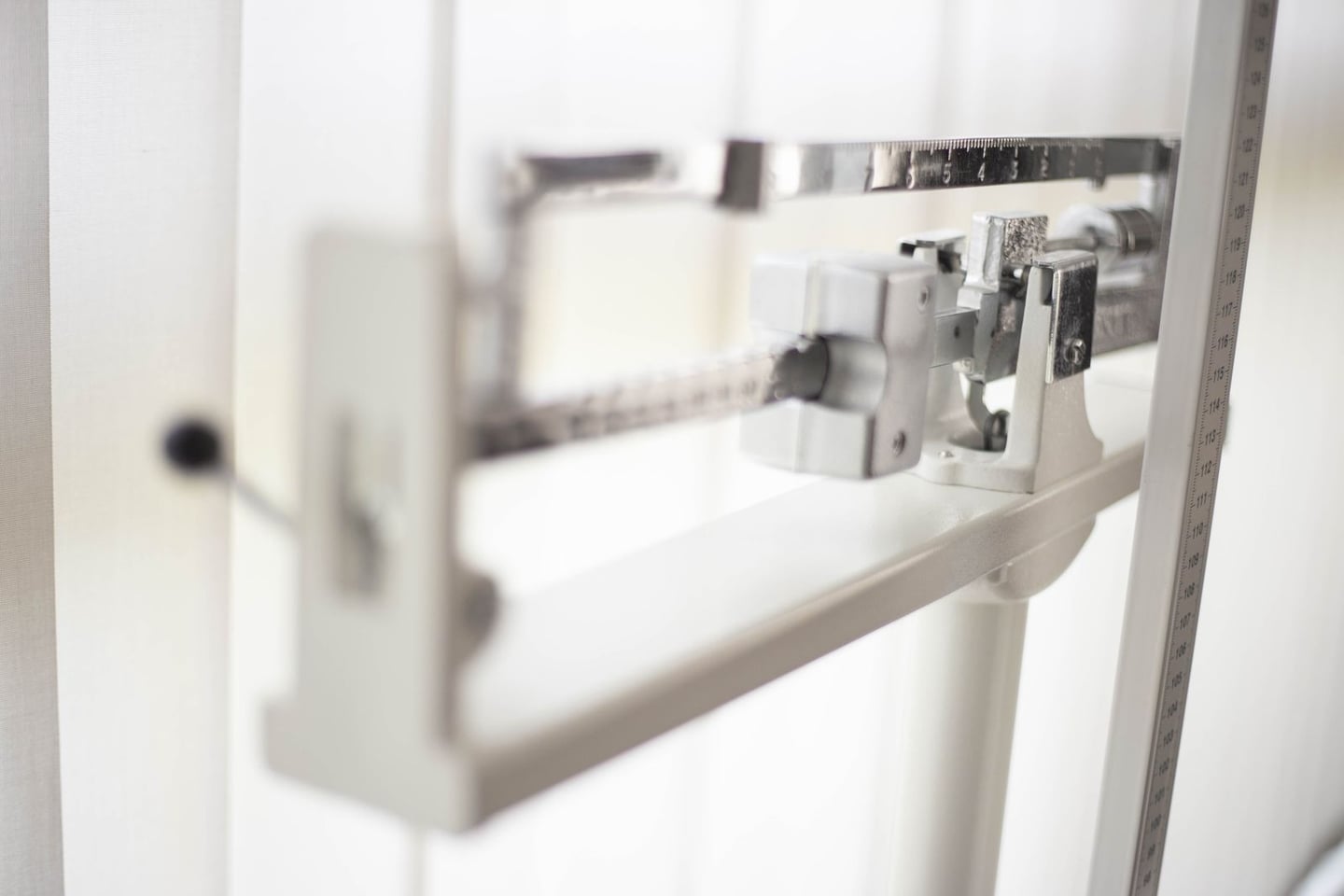 Body measurements and weight tracking