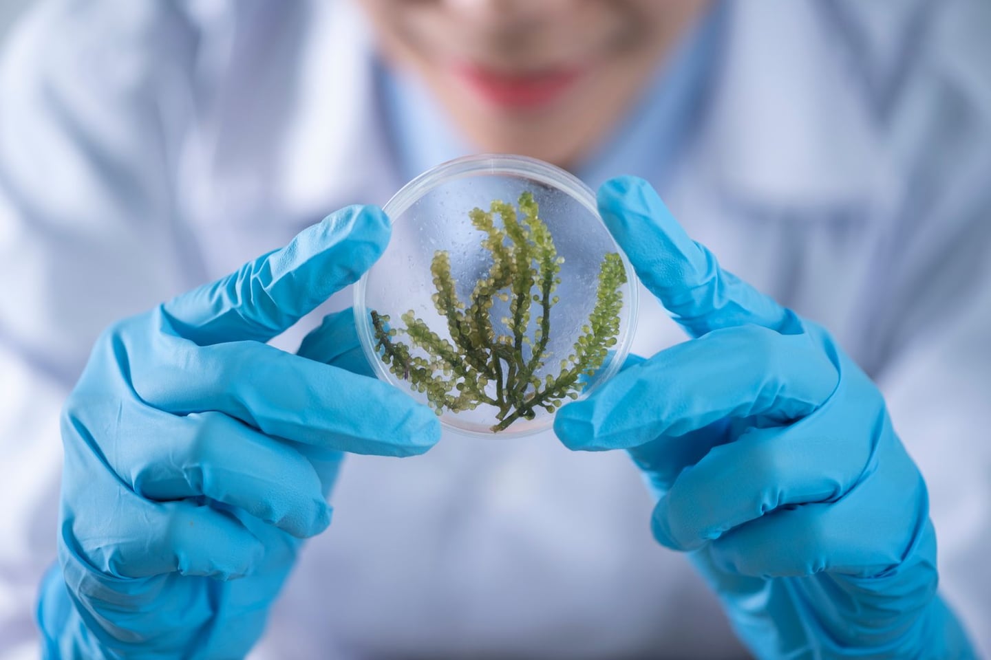 Laboratory research and scientific methods