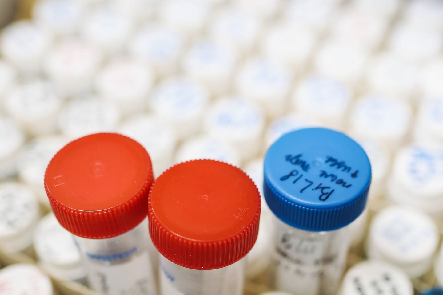 Laboratory research and scientific methods