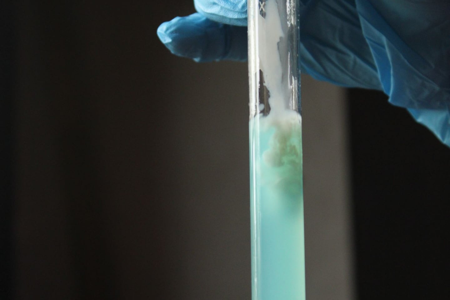 Laboratory research and scientific methods