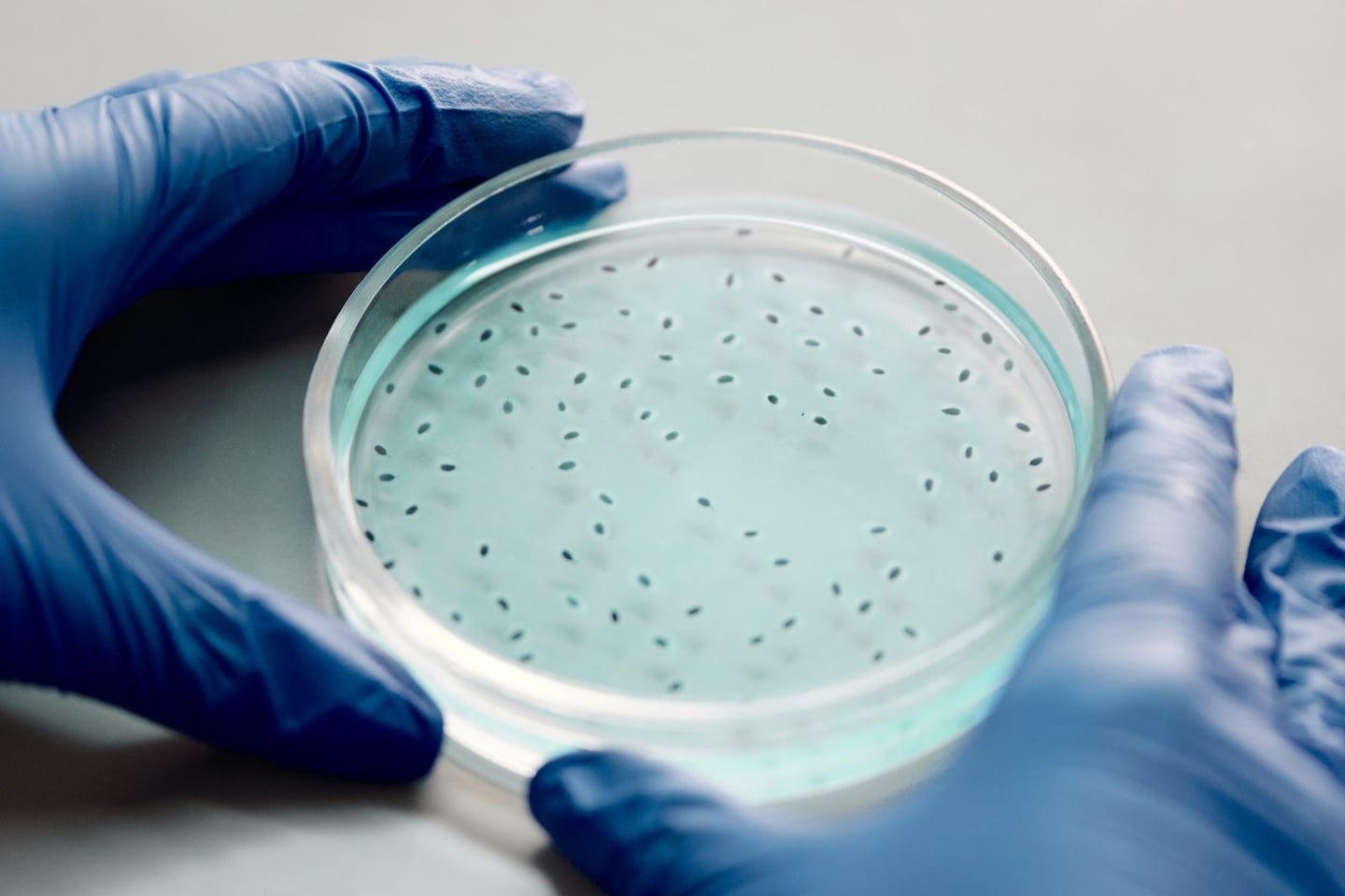 Laboratory research and scientific methods