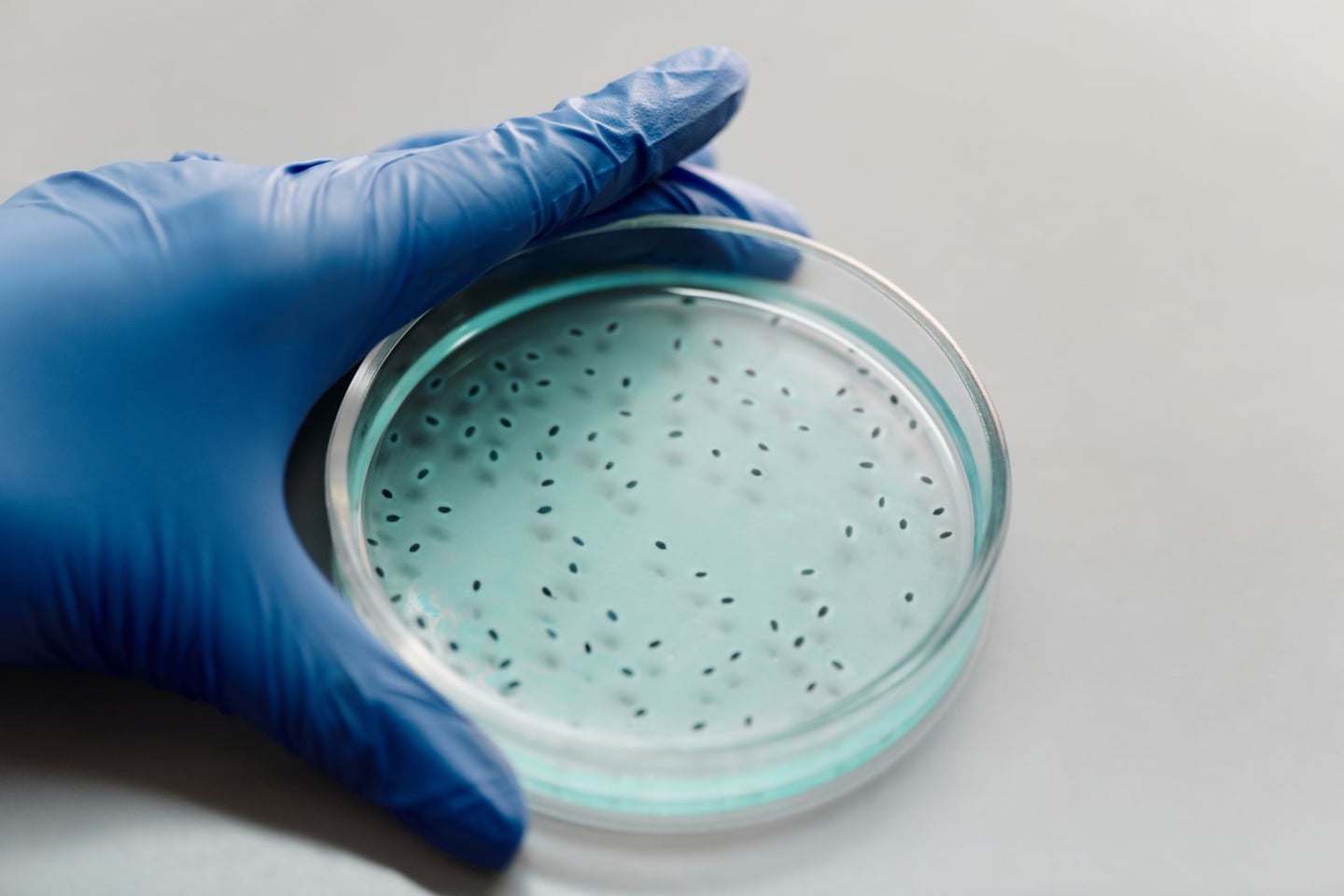 Laboratory research and scientific methods