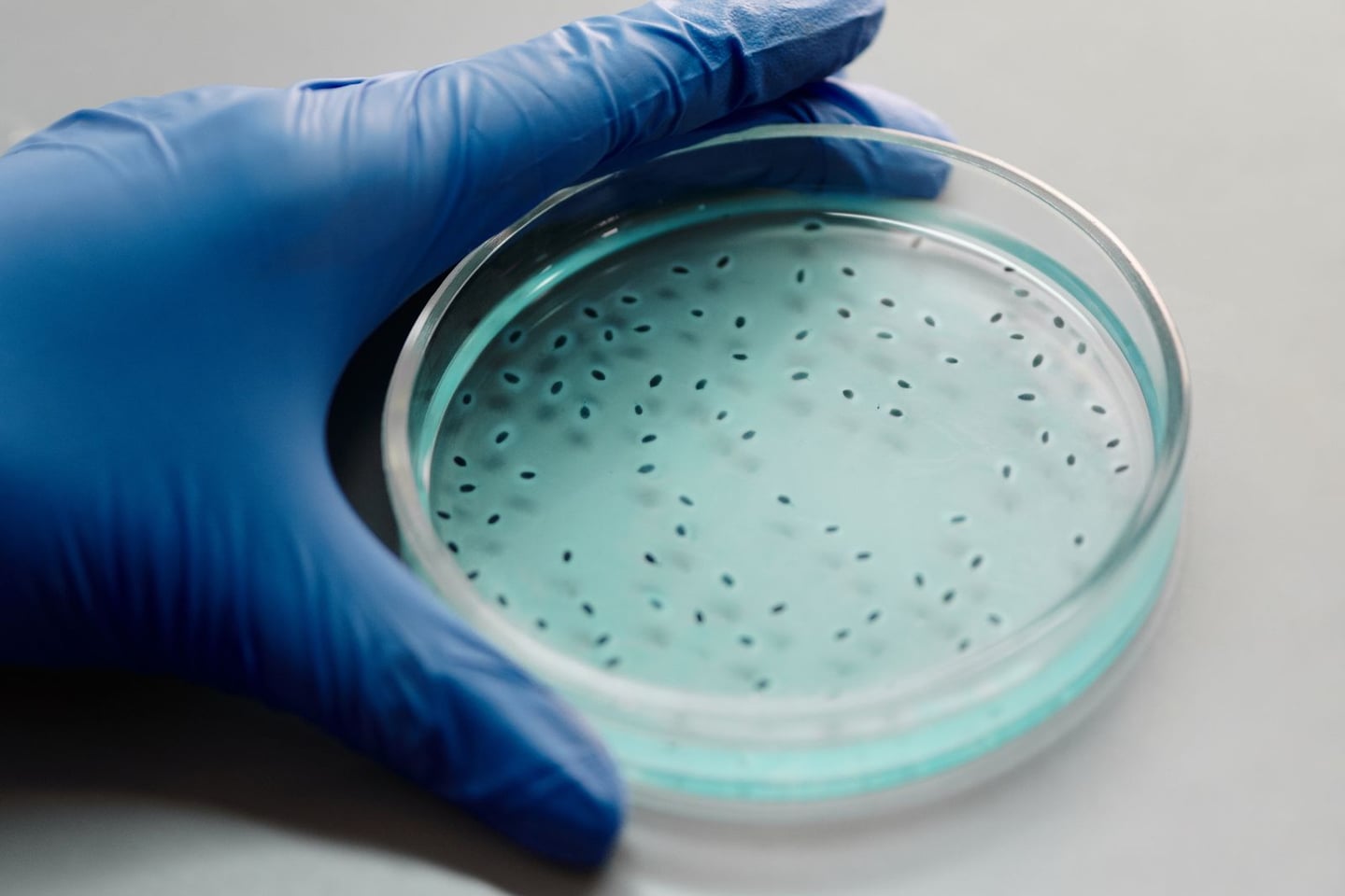Laboratory research and scientific methods