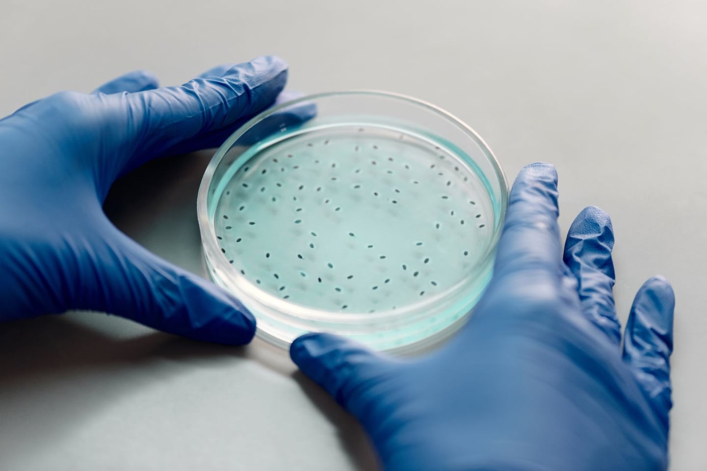Laboratory research and scientific methods
