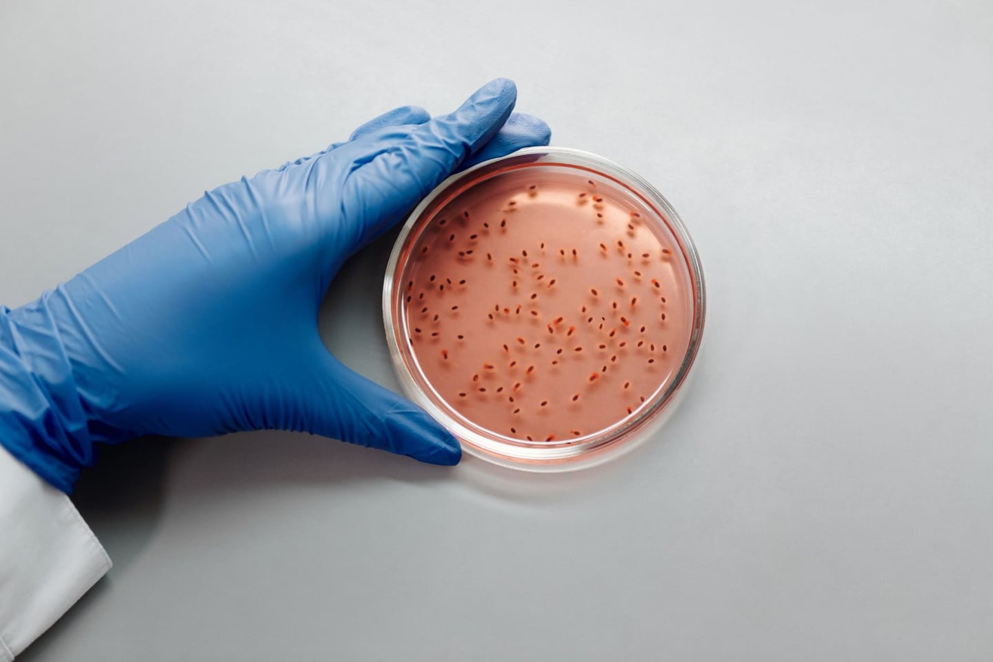 Laboratory research and scientific methods
