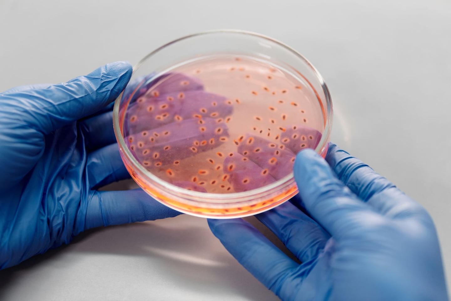 Laboratory research and scientific methods