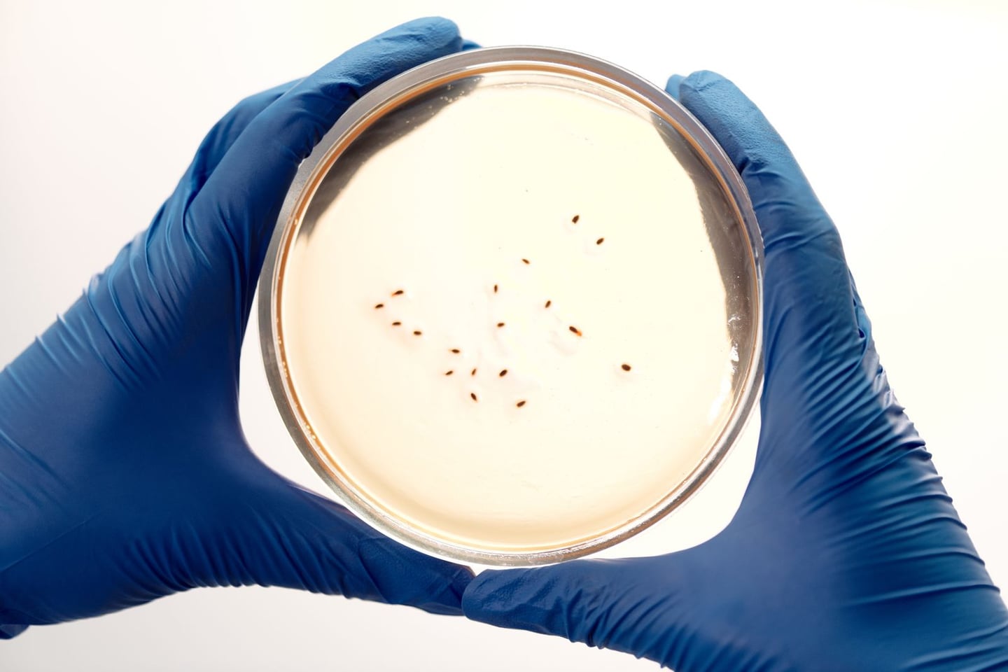 Laboratory research and scientific methods
