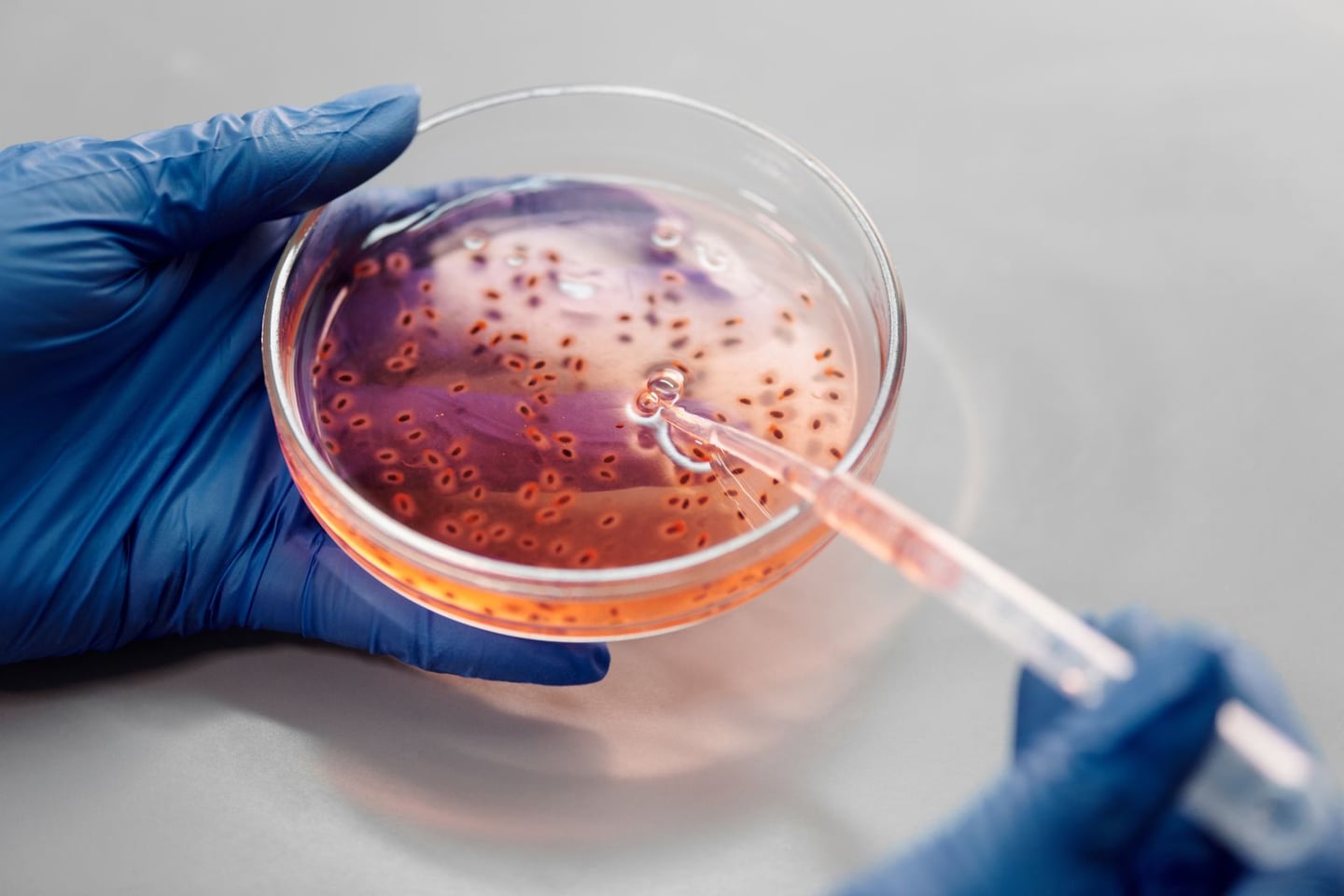 Laboratory research and scientific methods