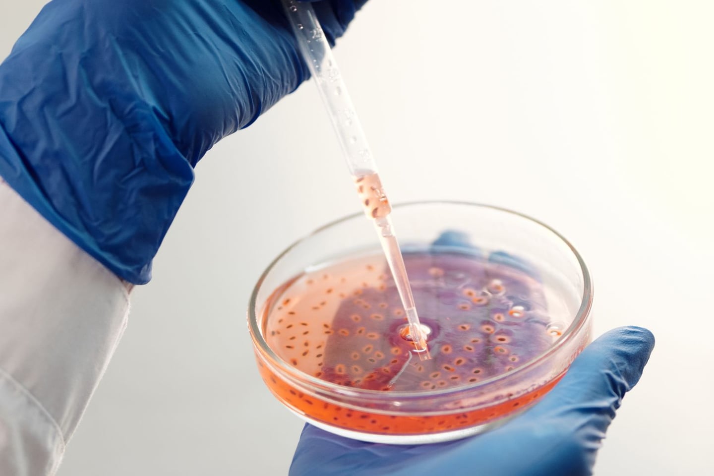 Laboratory research and scientific methods