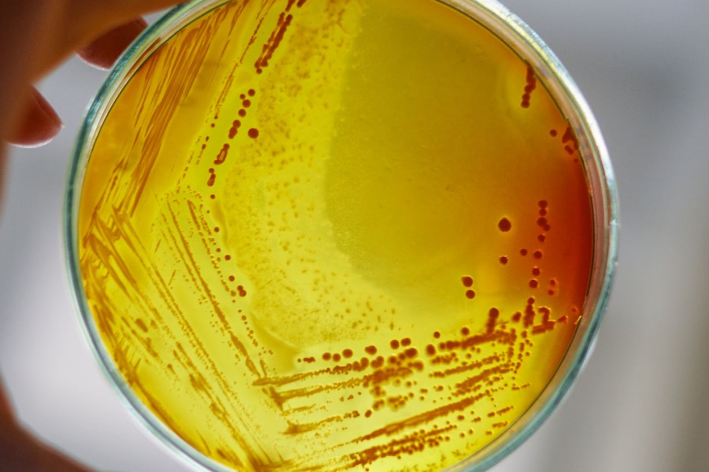 Laboratory research and scientific methods