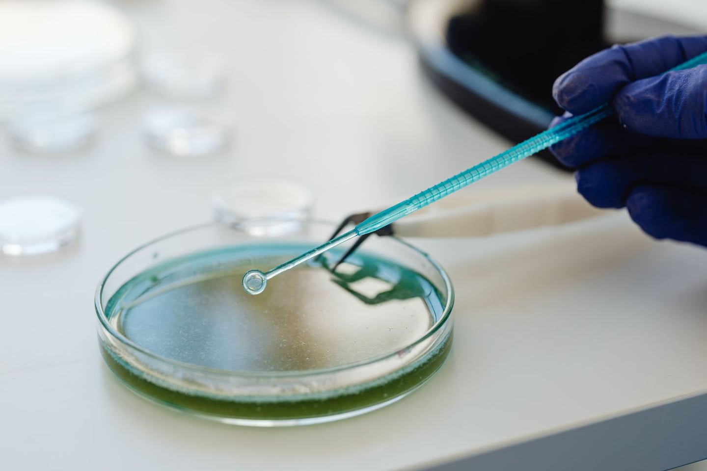 Laboratory research and scientific methods