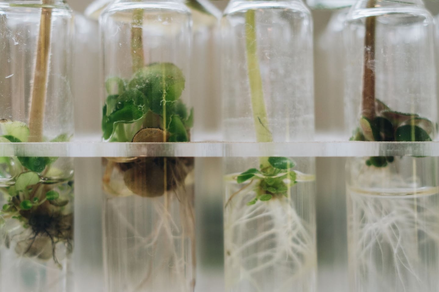 Laboratory research and scientific methods