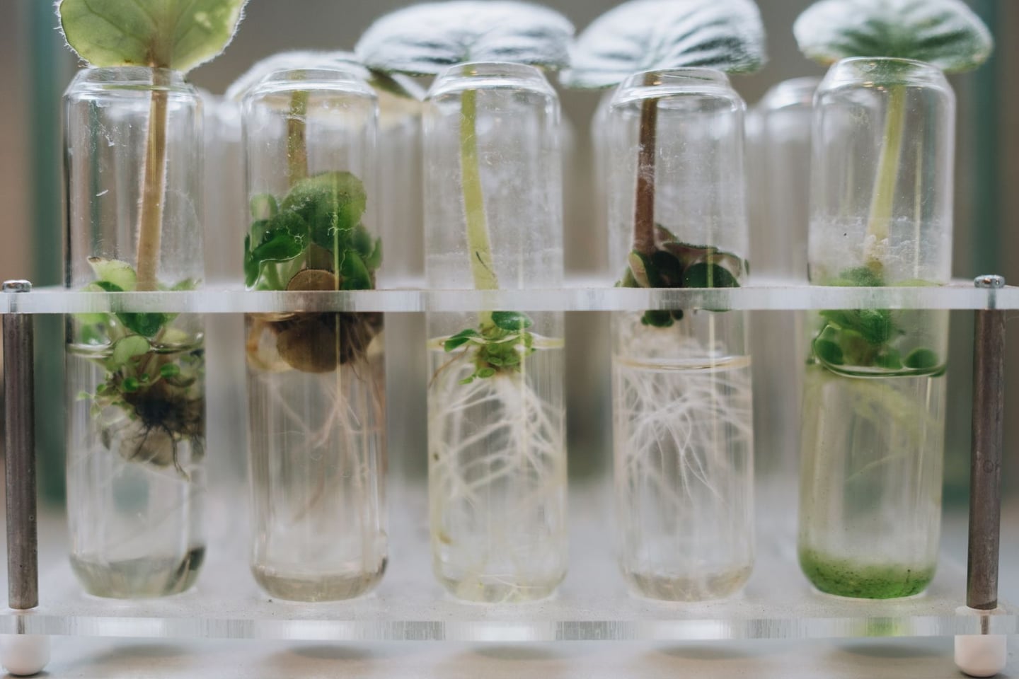 Laboratory research and scientific methods