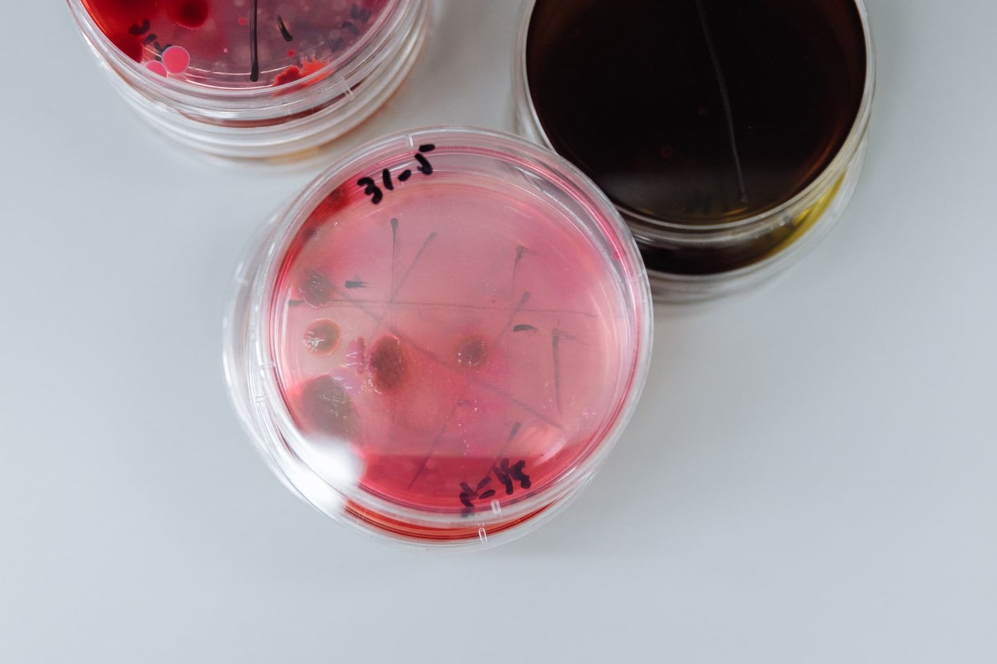 Laboratory research and scientific methods
