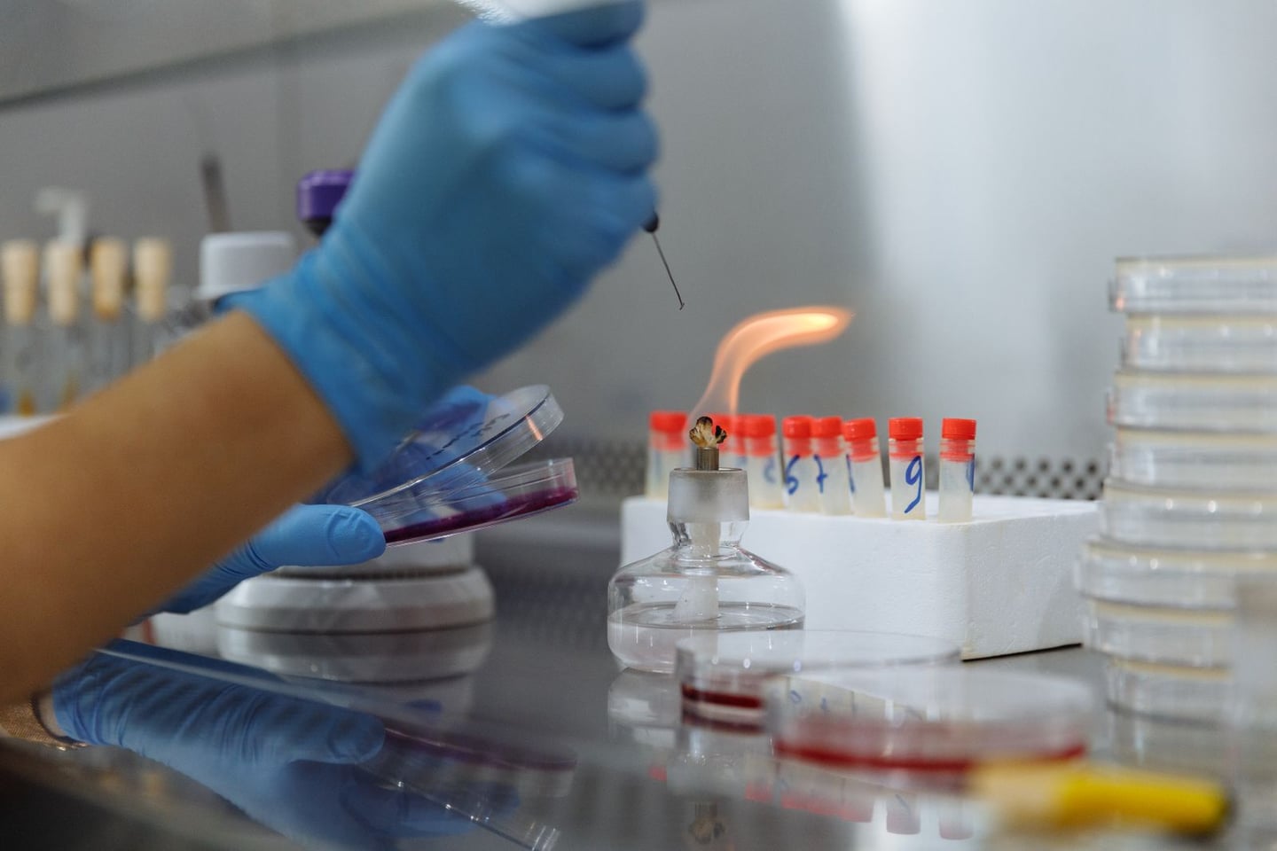 Laboratory research and scientific methods