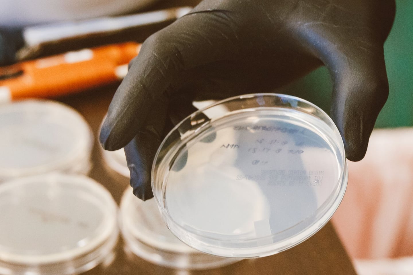 Laboratory research and scientific methods