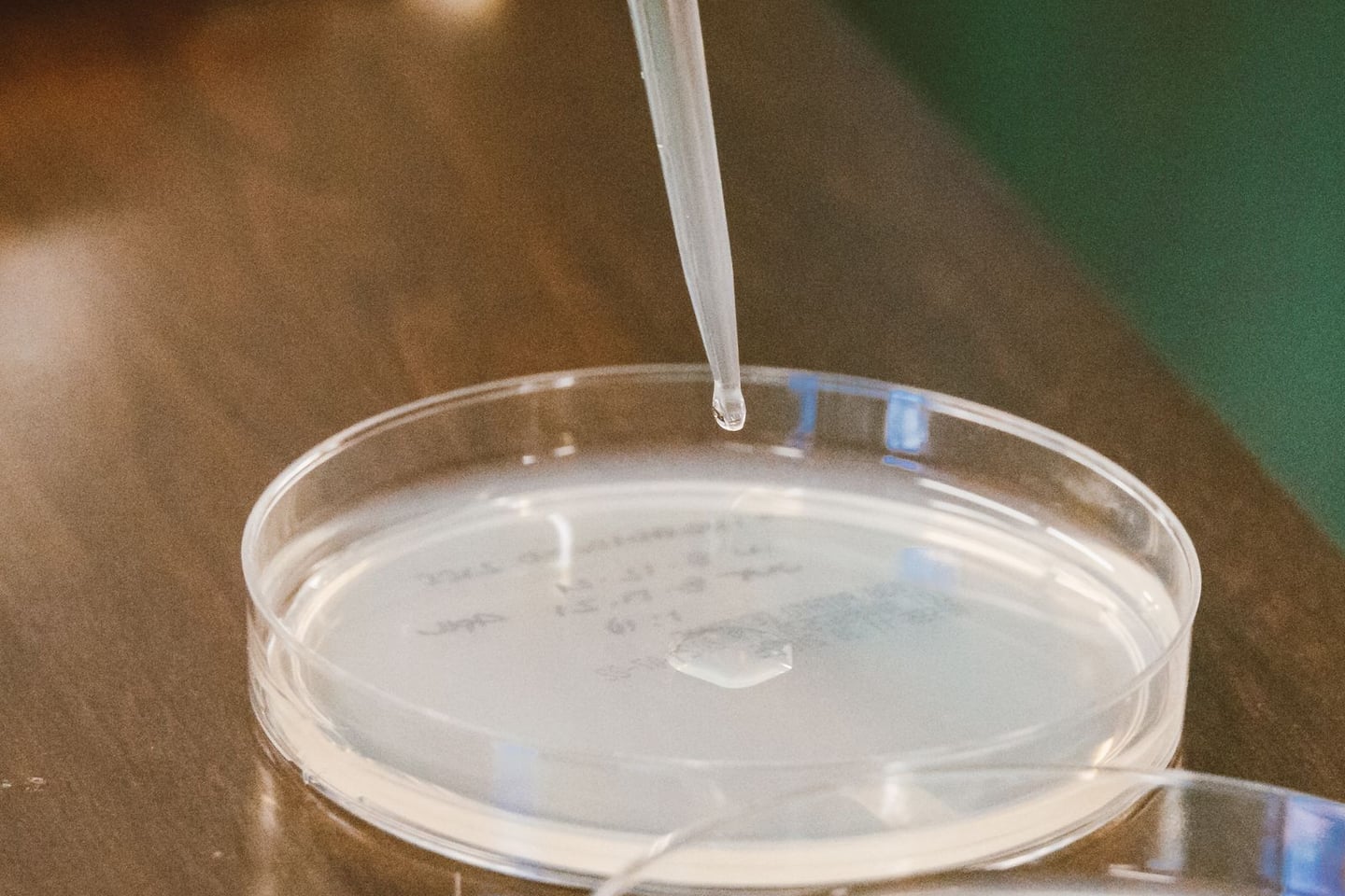 Laboratory research and scientific methods
